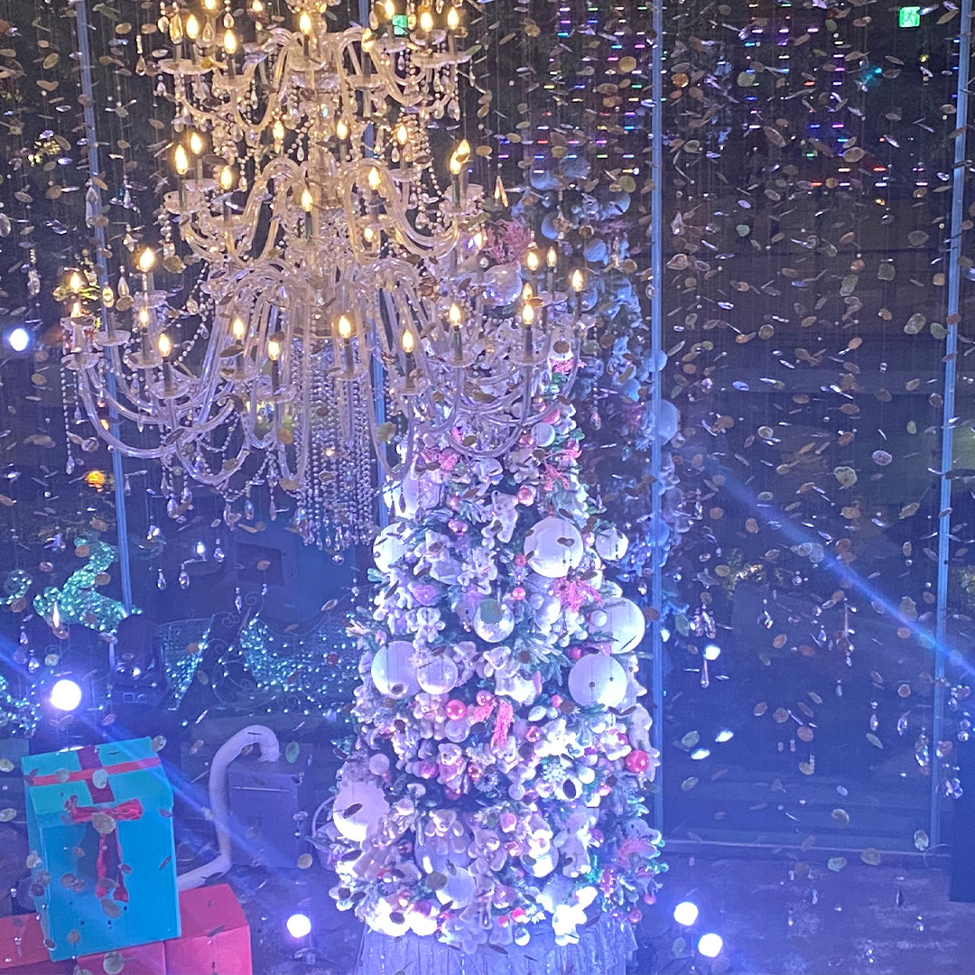 【クリスマスイベント】Strings Christmas Memoria～感謝と祝福～　イメージ画像