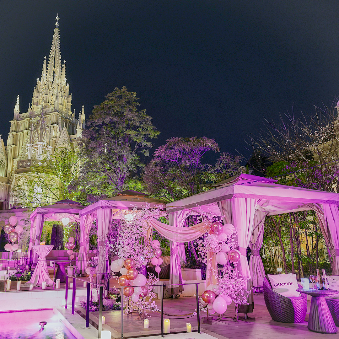 【ホテル開業10周年記念イベント】STRINGS Spring ROSE Night ≪4月22日（水）限定開催≫　イメージ画像