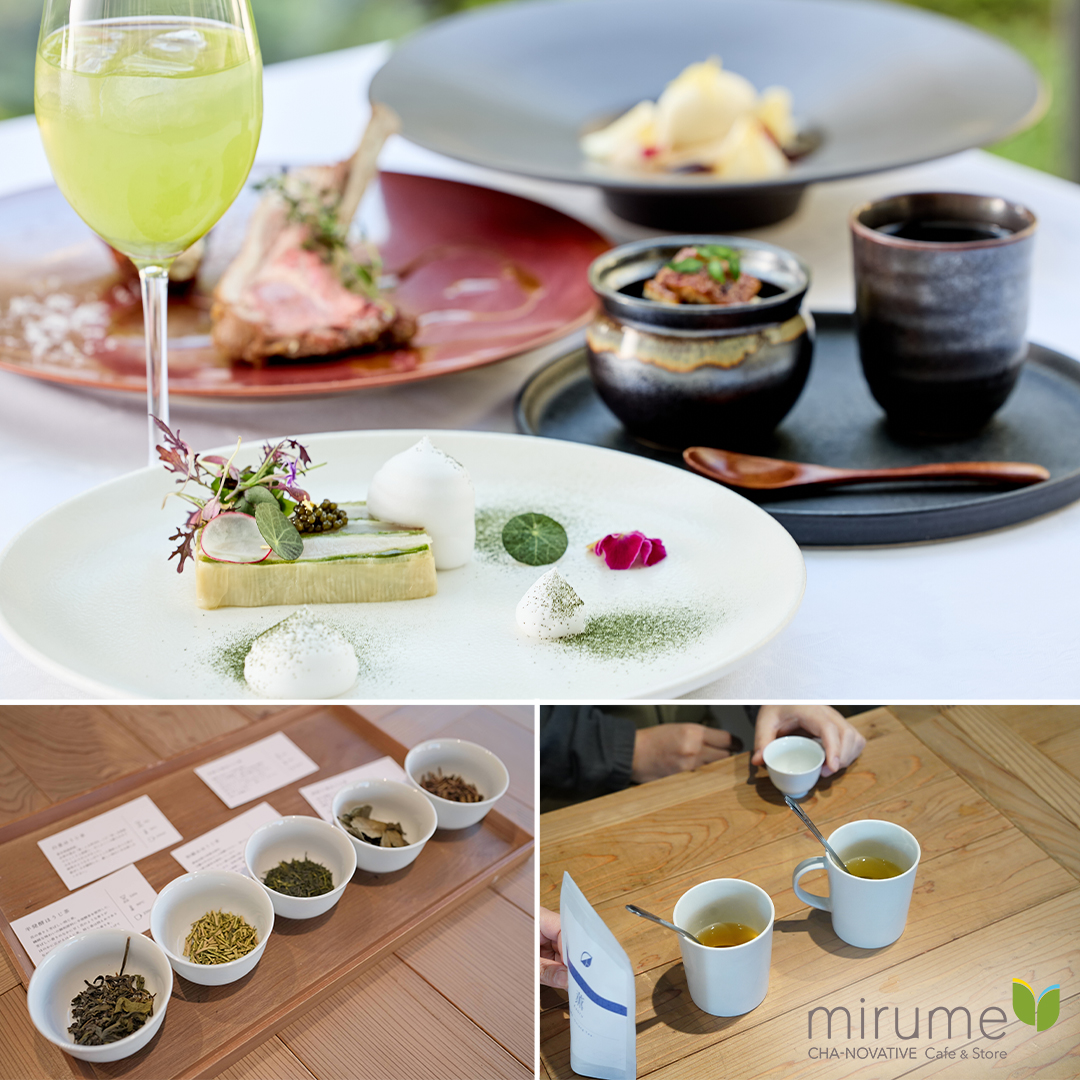 【リニューアルオープン記念】“伊勢茶mirume ”日本茶飲み比べ×コラボレーションコース　イメージ画像