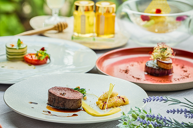【開業10周年記念】ランチ・ディナーのご案内　イメージ画像