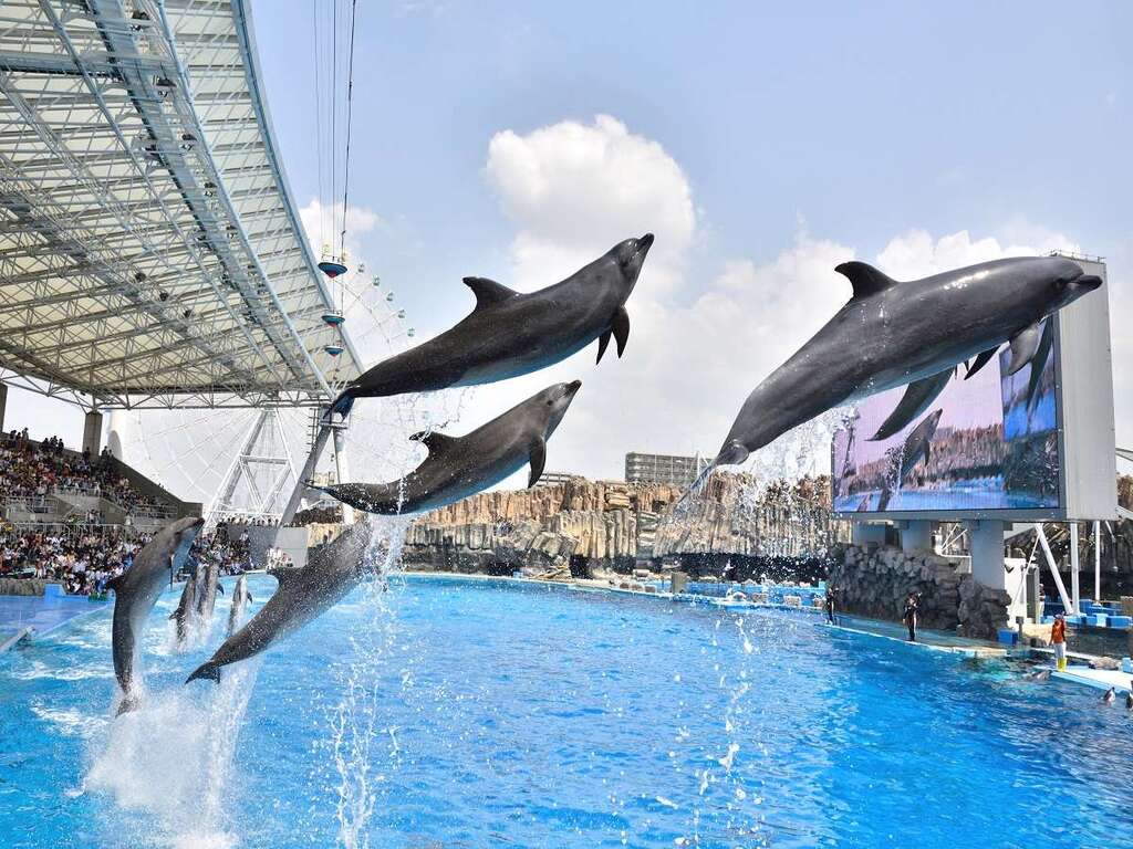 【名古屋港水族館チケット付き】 人気スポットで思い出づくり♪（ご宿泊のみ）　イメージ画像