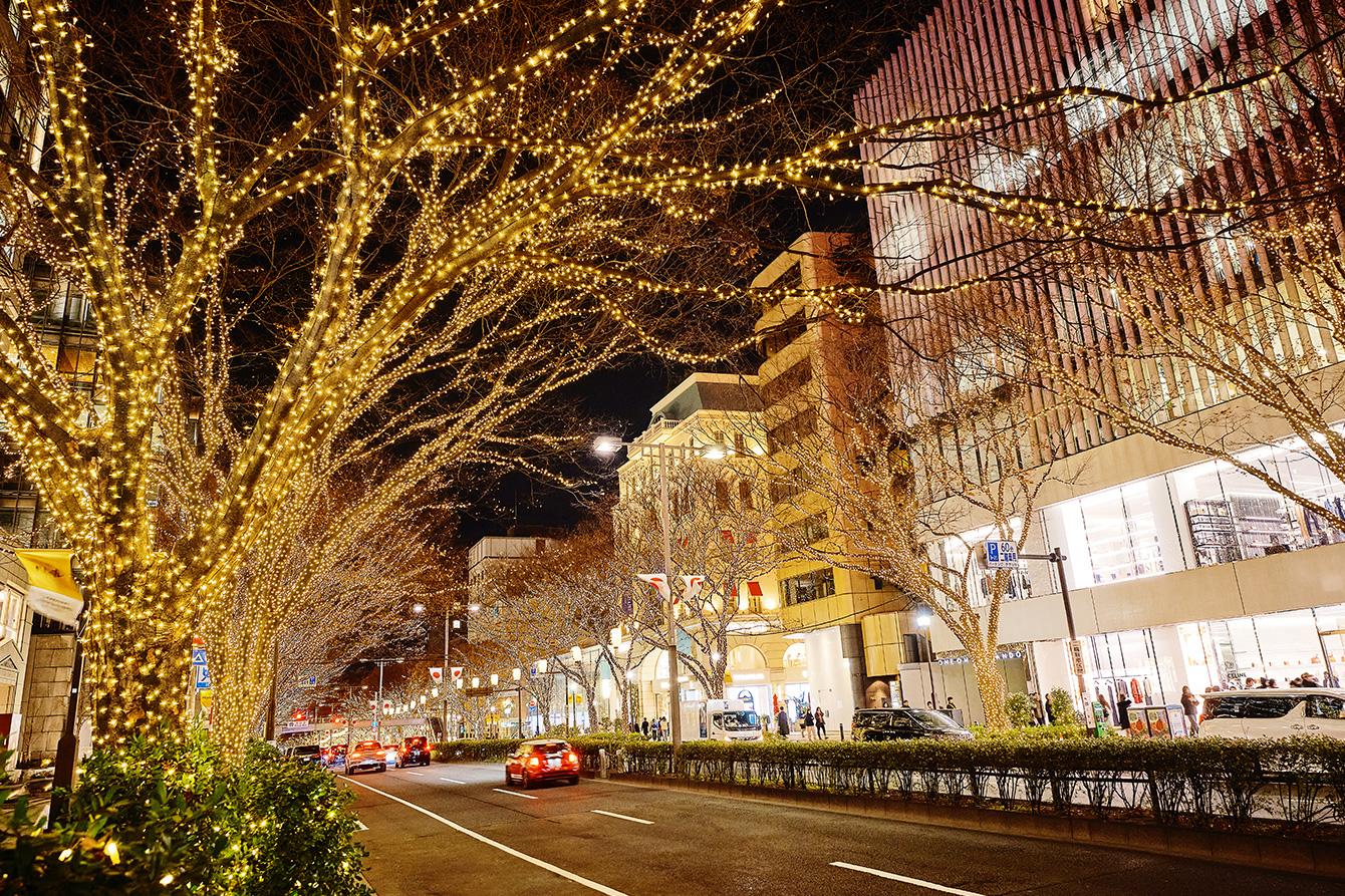 ゼルコヴァのクリスマスディナーコース