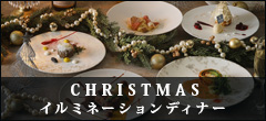クリスマスイルミネーションディナー2026
