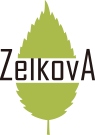 Cafe & Dining ZelkovA | THE STRINGS OMOTESANDOH