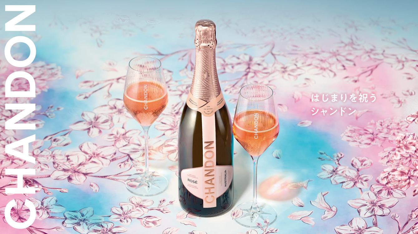 シャンドンについて