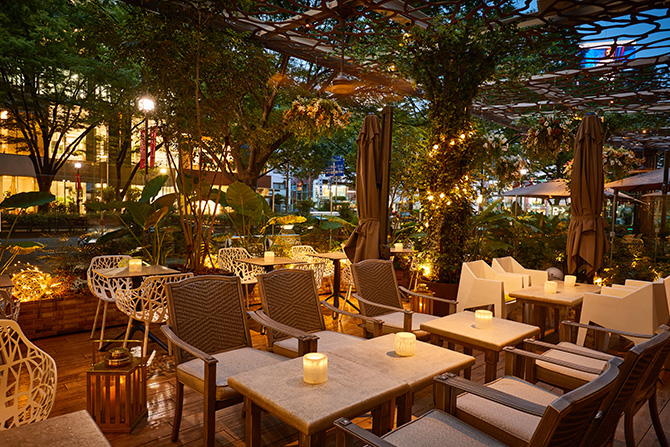 ハイティー～ゼルコヴァ | ザ ストリングス 表参道