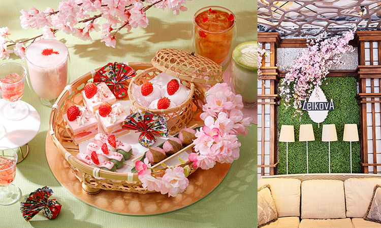 Manhattan Hanami Palette カフェ＆ダイニング ゼルコヴァ | ザ ストリングス 表参道