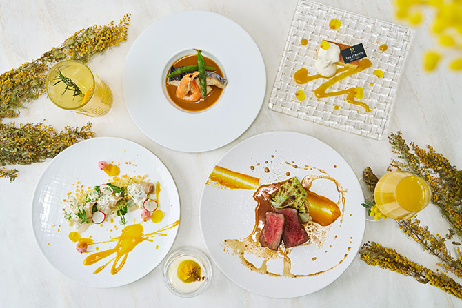 ハッピーミモザイエローコース カフェ＆ダイニング ゼルコヴァ ザ ストリングス 表参道