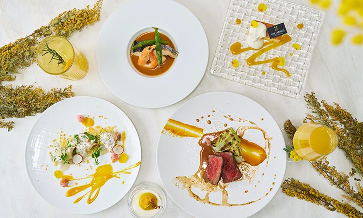 ハッピーミモザコース カフェ&ダイニング ゼルコヴァ | ザ ストリングス 表参道